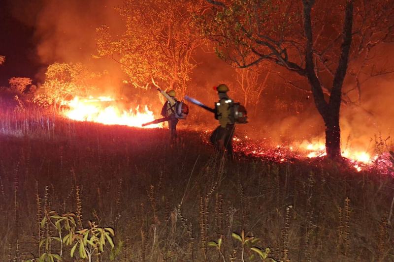 Corpo de Bombeiros do Amazonas esclarece solicitação de apoio federal contra incêndios